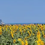 Affittacamere - Colle Al Mare 34 - Bike & Room