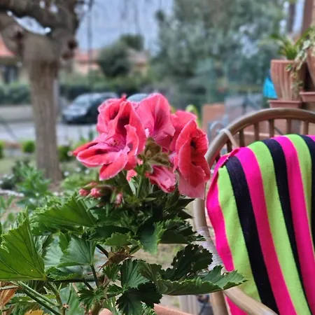 Colle Al Mare 34 - & Bike - Guest house *