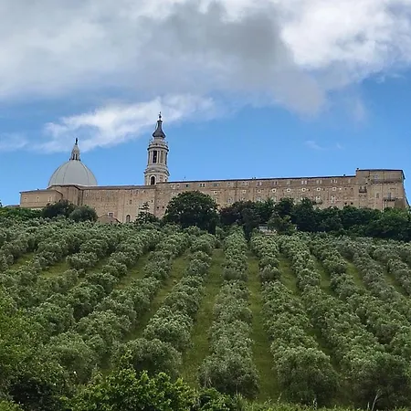 Colle Al Mare 34 - & Bike - Penzion Porto Recanati