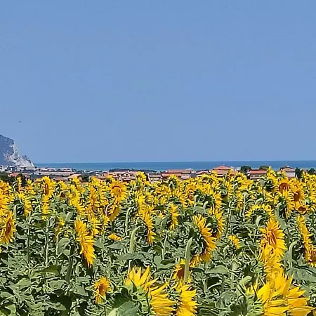 Colle Al Mare 34 - & Bike -